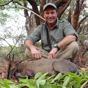 Duiker