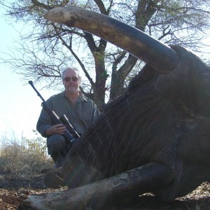 62 pound Elephant Bull