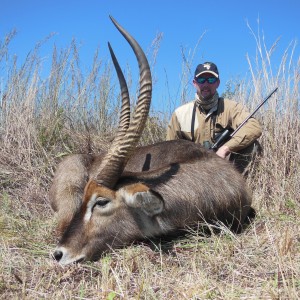 Safari Afrika April 2013 Hunt, Limpopo Province