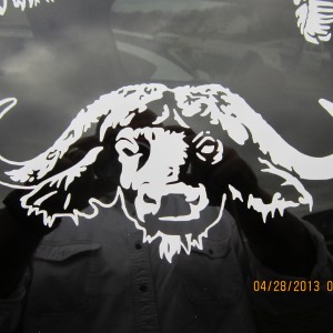 Buffalo Decal Stickers