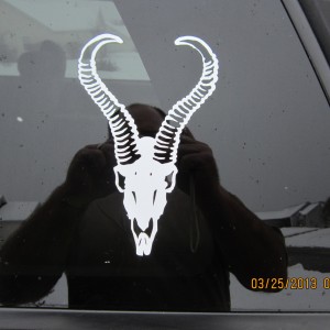 Springbok Decal Stickers