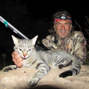 African Wild Cat Hunt