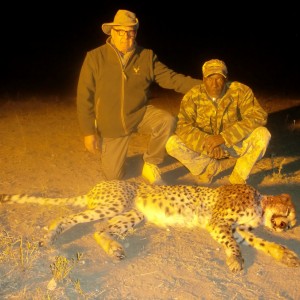 Hunting Cheetah in Namibia with Ozondjahe Hunting Safaris