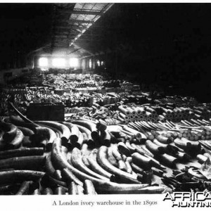 Ivory Warehouse London 1890