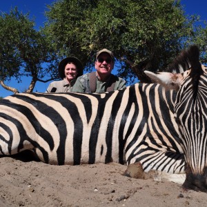 Plains Zebra