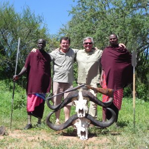 Massai Buffalo