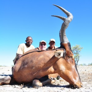 22.5" Red Hartebeest