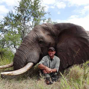 Elephant South Africa