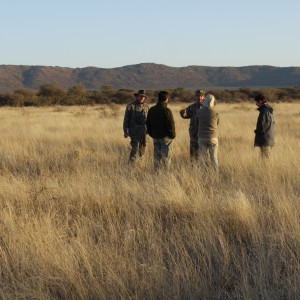 Hunting Cheetah in Namibia