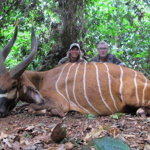 Bongo Cameroon