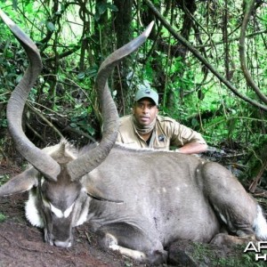 Mountain Nyala