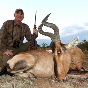 Hartebeest