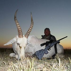 White Blesbok