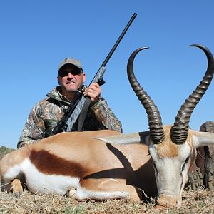 Springbok