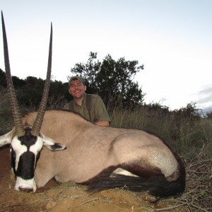 Gemsbok