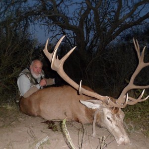 Red Deer hunted in la Pampa afther the roar