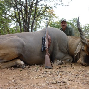 Eland Zim 2010