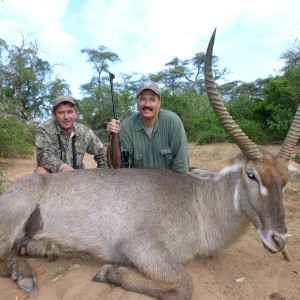 Waterbuck Zim 2010