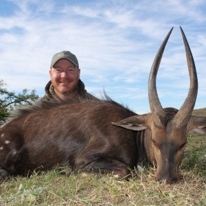 Bushbuck