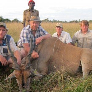 Eland