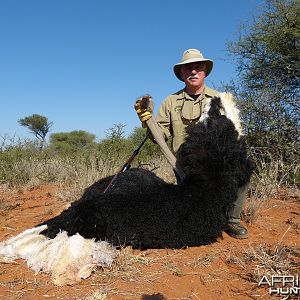 Ostrich hunt with Wintershoek Johnny Vivier Safaris