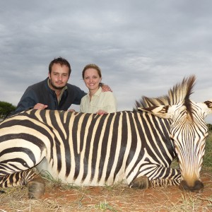 Mountain Zebra hunt with Wintershoek Johnny Vivier Safaris