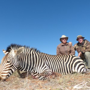 Mountain Zebra hunt with Wintershoek Johnny Vivier Safaris