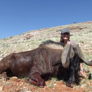 Black Wildebeest hunt with Wintershoek Johnny Vivier Safaris