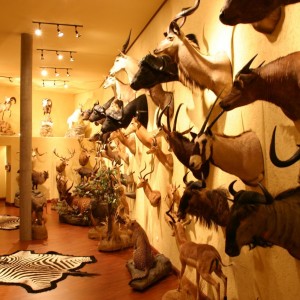 Trophy Room