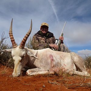 White Blesbok