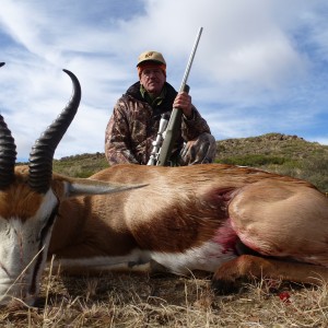 Common Springbok