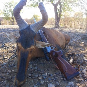 Hartebeest