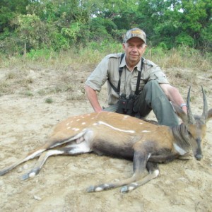 Harnessed Bushbuck hunt with CAWA in CAR