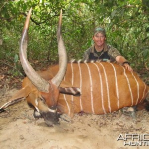 Bongo hunt with CAWA in CAR