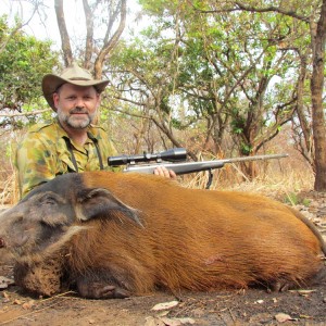 Red River Hog hunt with CAWA in CAR