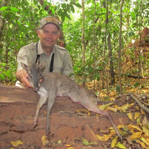 Blue Duiker hunt with CAWA in CAR