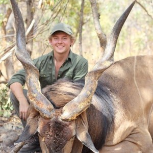 Lord Derby Eland hunt with CAWA in CAR