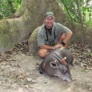 Yellow Back Duiker hunt with CAWA in CAR