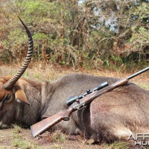 Waterbuck hunt with CAWA in CAR