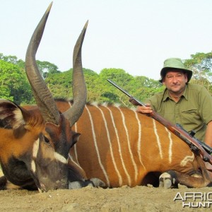 Bongo hunt with CAWA in CAR