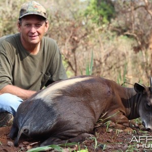 Yellow Back Duiker hunt with CAWA in CAR