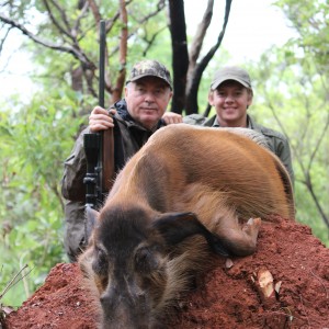 Red River Hog hunt with CAWA in CAR