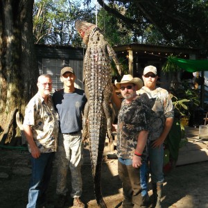 LOUISIANA ALLIGATOR HUNT