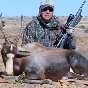 Blesbok