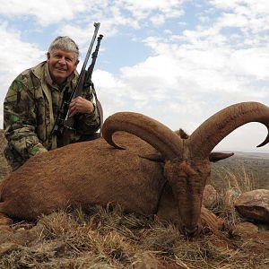 My Dad's 27.5 Barbary Sheep