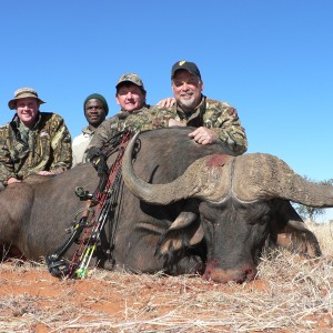 Buffalo hunt with Wintershoek Johnny Vivier Safaris