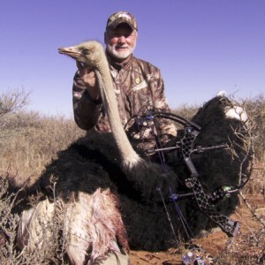 Ostrich hunt with Wintershoek Johnny Vivier Safaris