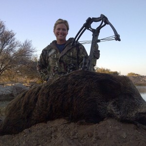 European Wild Boar hunt with Wintershoek Johnny Vivier Safaris