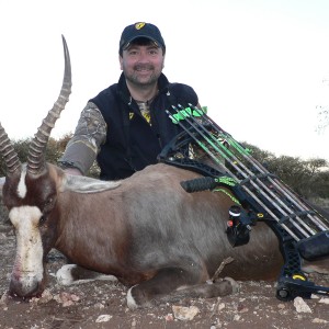 Blesbuckhunt with Wintershoek Johnny Vivier Safaris