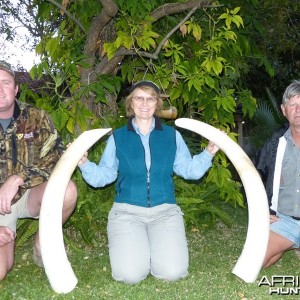 Elephant hunt with Wintershoek Johnny Vivier Safaris